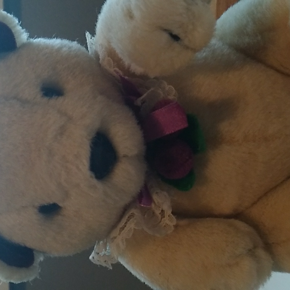 Cute small Fluffy bear